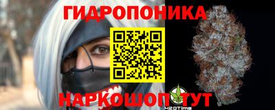 mdma Гатчина