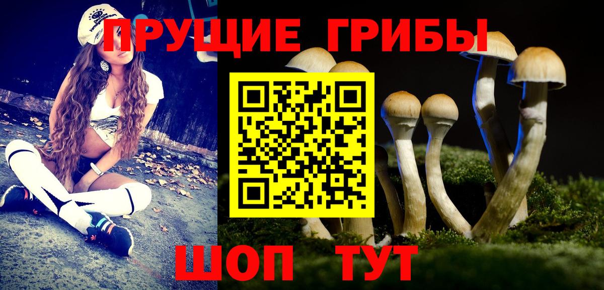 Галлюциногенные грибы Cubensis  Галлюциногенные грибы Psilocybe  Вход с VPN  Протвино 
